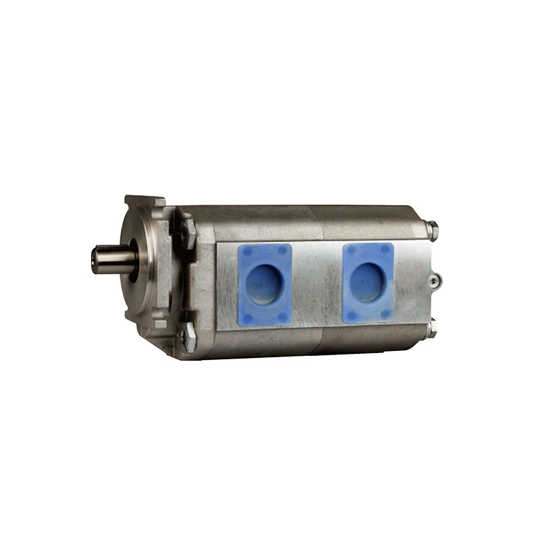 CBKP Double Gear Pump new
