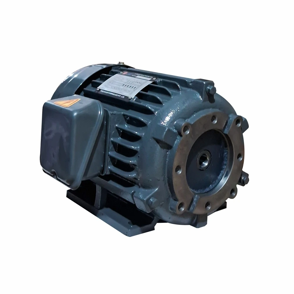 THM ELECTRIC MOTORS
