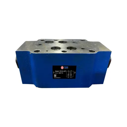 Z2S16-Check valve