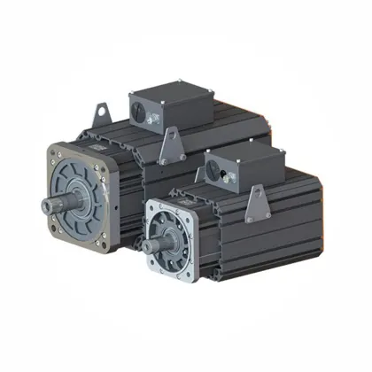 Hydraulic Servo Motor