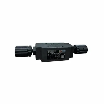 MSW - Throttle and Check Modular Valves